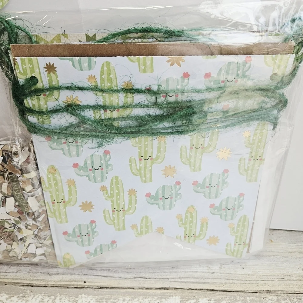 Vibrant Cactus Party Decorations